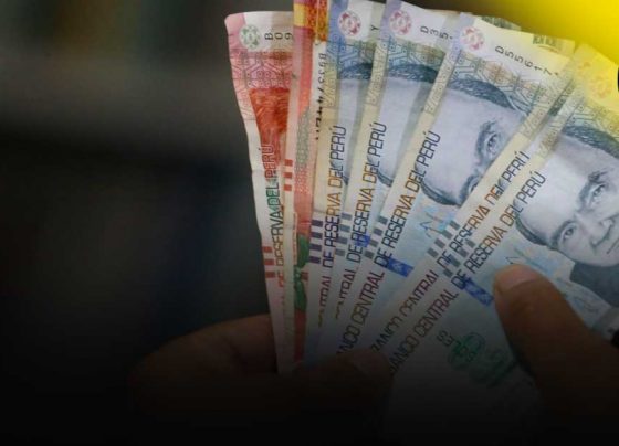 Calcula el concepto por gratificación