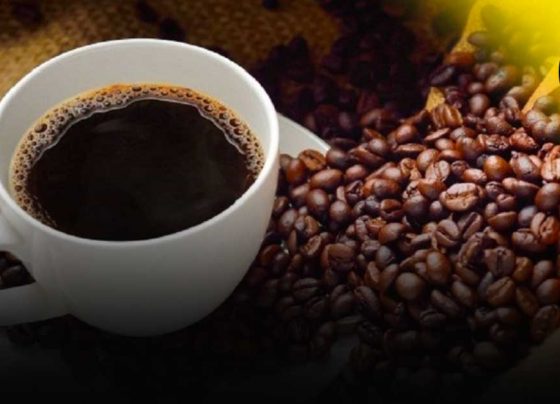 Nuevas regulaciones para exportación a la Unión Europea