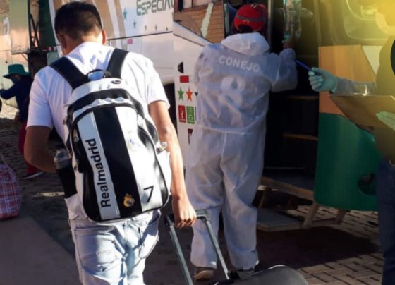 Sepa qué hacer si tiene un viaje programado