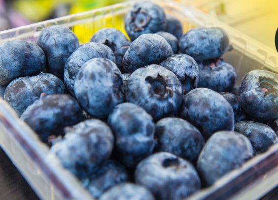 Sector agropecuario creció en primer bimestre