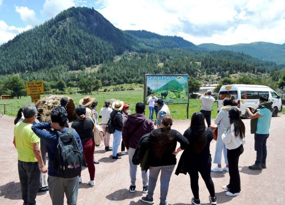 Para aprovechar el feriado largo por Fiestas Patrias / Foto: archivo Andina