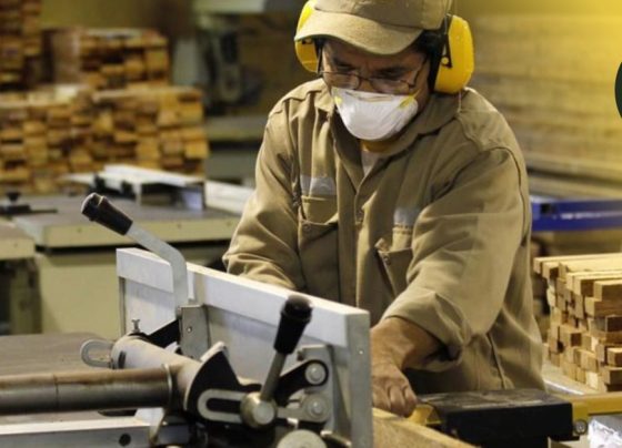 Cerca de 190 mil trabajadores informales ingresaron a planilla