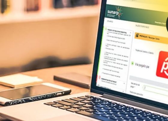 Plataforma digital que te permite pagar servicios de entidades públicas