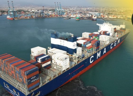 Terminal Portuario del Callao recibió a nave portacontenedores