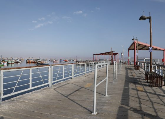 Puerto de Paracas ofrecerá servicio directo a Europa