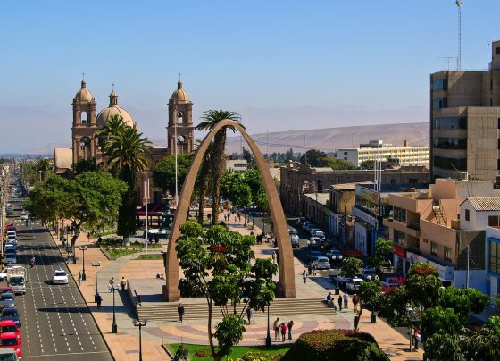 Proyecciones para el 2024 en los sectores económicos