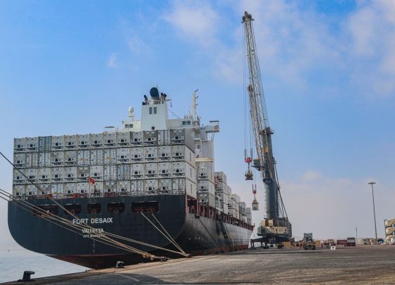 Puerto de Paracas supera en más de 30% meta de embarque de contenedores