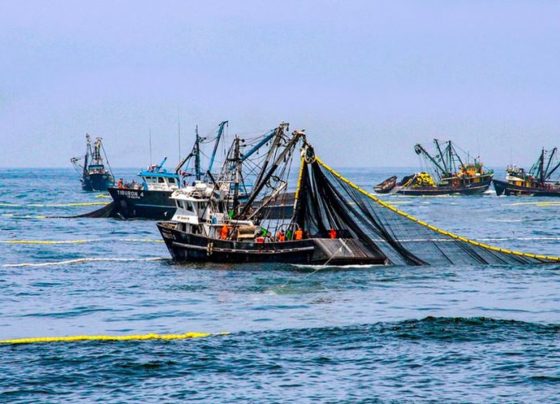 El Instituto Nacional de Estadística e Informática (INEI) / Foto: archivo El Comercio