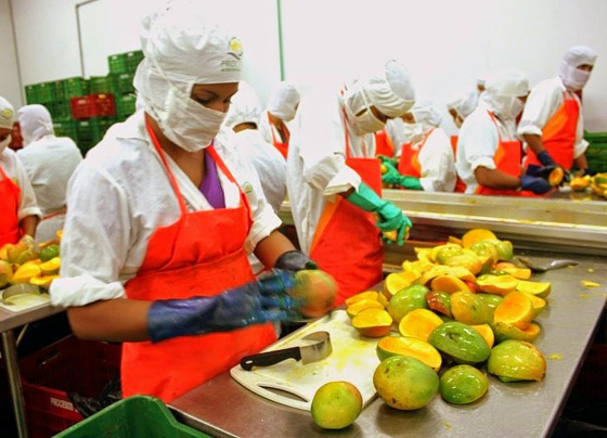 La cifra fue revelada durante la presentación del libro Las mipyme en cifras 2022 / Foto: archivo Andina