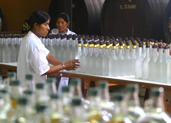 El Mincetur anunció que los productores pisqueros de Ica podrán sumarse al programa Pisco para el Mundo / Foto: archivo El Comercio