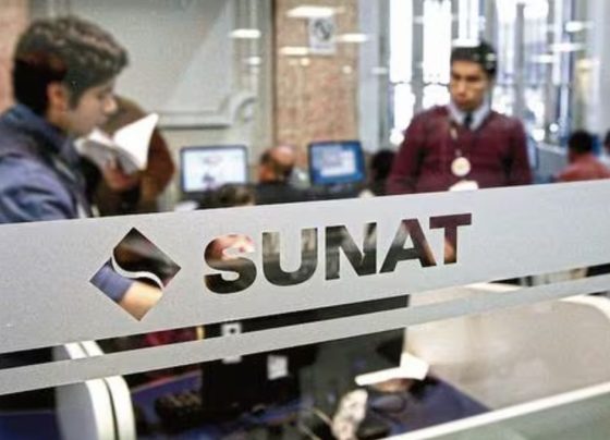 Sunat también resalta la evolución de las importaciones en enero