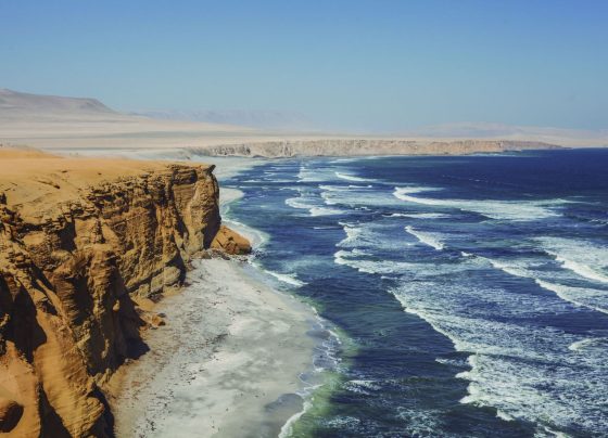 Paracas podría captar 500 mil turistas más