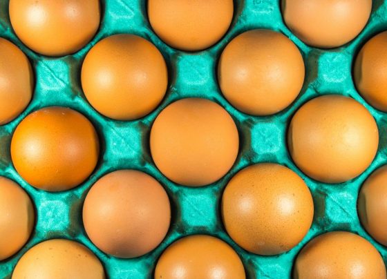 La Asociación de Productores de Huevo del Peru (Aprohperu) / Foto: Pexels