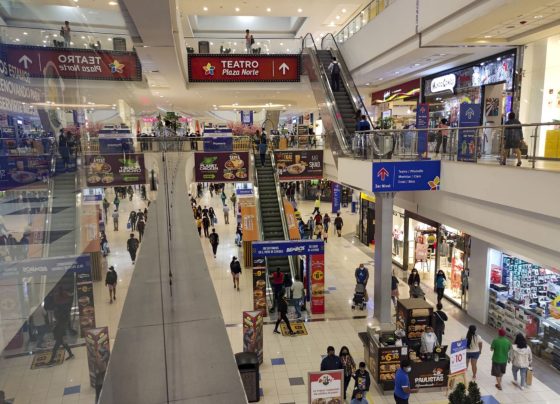 Comportamiento del comprador peruano