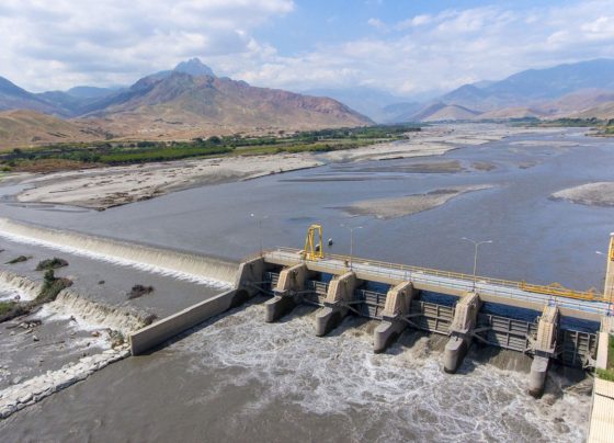 ¿Qué es el proyecto Chinecas y cuál es su importancia en la agricultura del Perú?