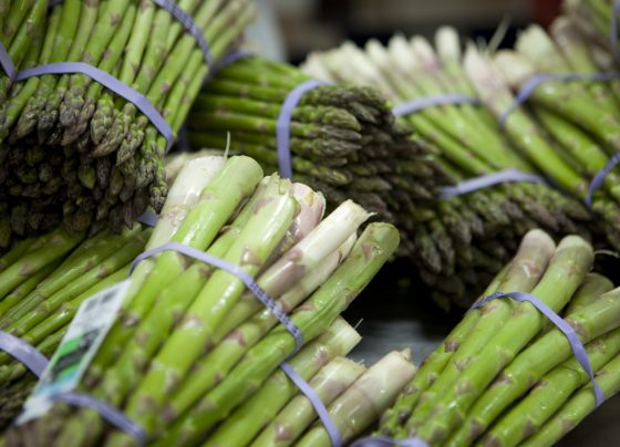 ¿Cuánto sumaron las exportaciones peruanas no tradicionales?