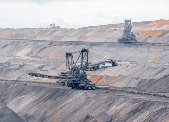 China, Canadá, México y Estados Unidos lideran las inversiones / Foto: Pexels