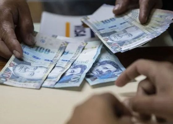 El gobierno de la presidenta Dina Boluarte promulgó la ley / Foto: archivo El Comercio