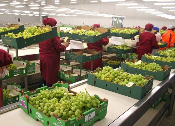 El Ministerio de Comercio Exterior y Turismo (Mincetur) / Foto: archivo Andina