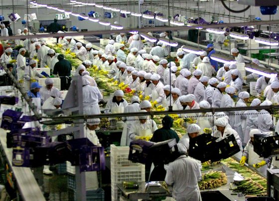 La Asociación de Exportadores (ADEX) / Foto: Andina