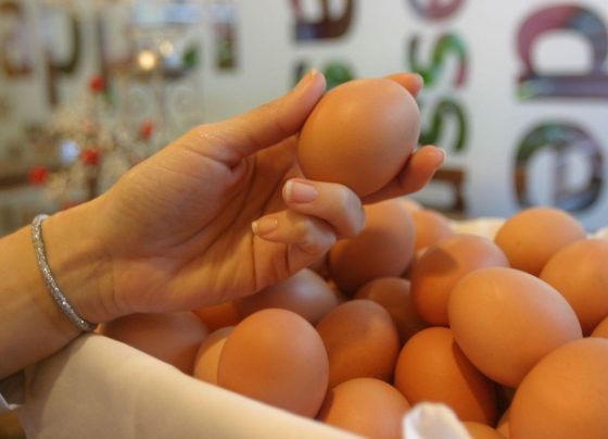 Ángel Manero Campos, ministro de Desarrollo Agrario y Riego / Foto: archivo Andina