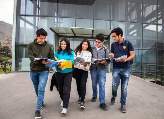 Consejos claves para insertarte con éxito al mercado laboral