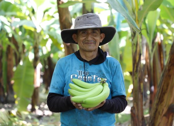 Exportaciones peruanas crecieron