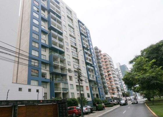 En ese sentido, estos son los aspectos básicos e imprescindibles / Foto: archivo Andina