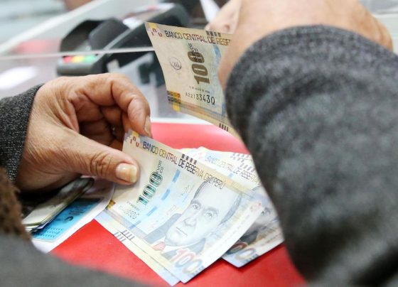 Consulta con tu DNI cuándo presentar tu solicitud