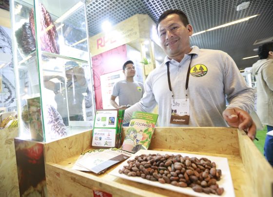 Número de empresas exportadoras se incrementó