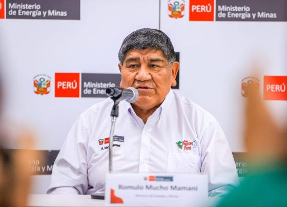 El titular del Ministerio de Energía y Minas, Rómulo Mucho / Foto: archivo Andina