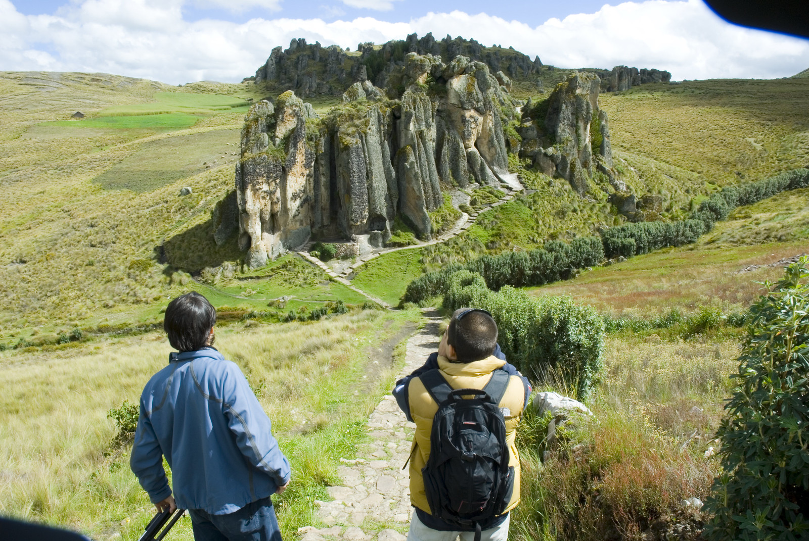 Las regiones con la mayor demanda de visitantes