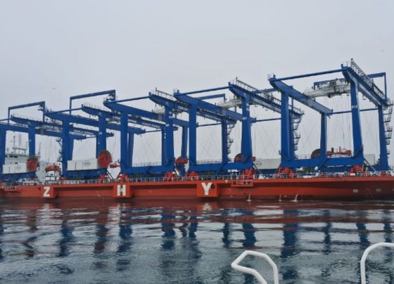 El primer lote de 5 grúas eléctricas llegó al Terminal Portuario Multipropósito / Foto: archivo Andina