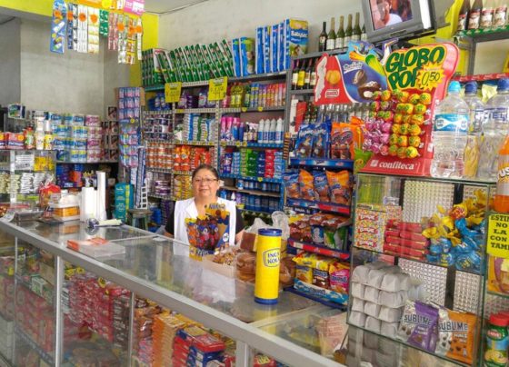 El verano se fue y ello generó que las ventas en las bodegas se redujeran / Foto: archivo Andina