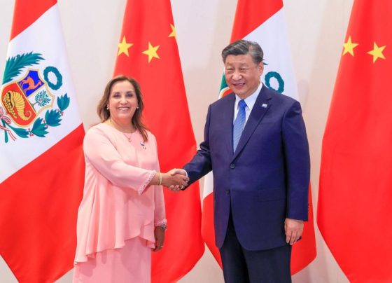 La presidenta de la República del Perú / Foto: archivo Andina