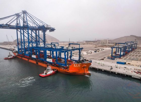 Nuevo arribo de grúas automatizadas