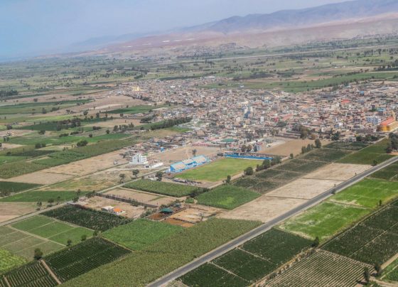 Destacan luz verde a Tía María