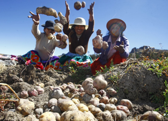 Un reciente estudio de Datasur / Foto: archivo Andina