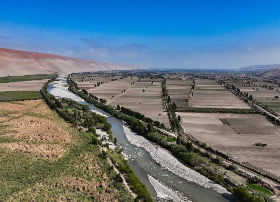 Proyecto Tía María generará 9 mil puestos de trabajo