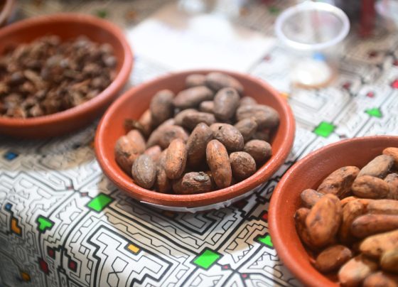 Exportaciones de cacao y sus derivados creció 130% en primeros cinco meses del 2024