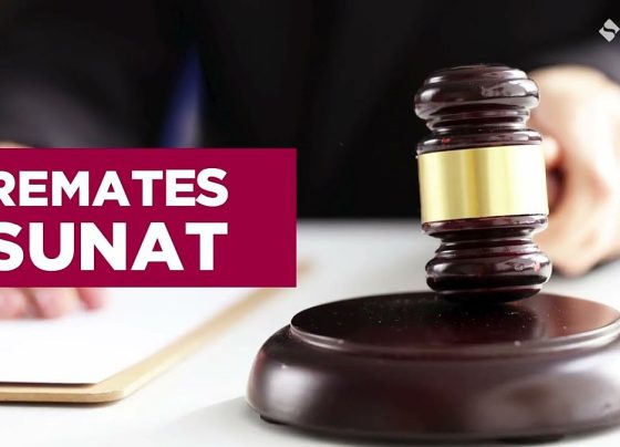 La Superintendencia Nacional de Aduanas y de Administración Tributaria (Sunat)