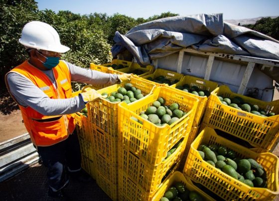 El comercio y el turismo suelen incrementarse / Foto: archivo Andina