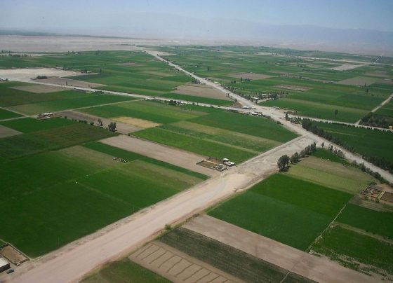 Consejo Regional de Arequipa acordó entregar el proyecto de irrigación Majes Siguas / Foto: archivo Andina