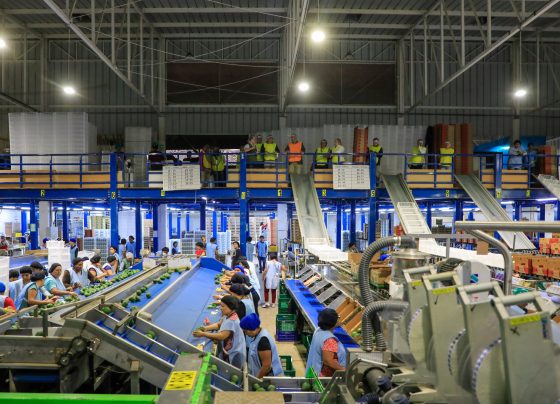 Producción nacional aumentó 0,21% en junio de 2024