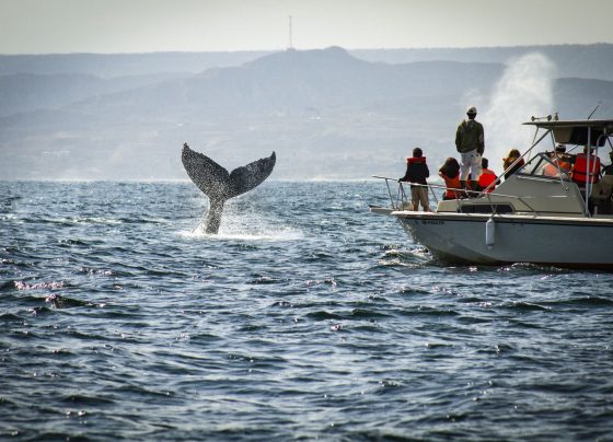 Piura está entre los destinos con más turistas peruanos