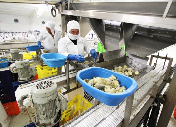 Perú y El Salvador inician diálogo para alcanzar un Tratado de Libre Comercio