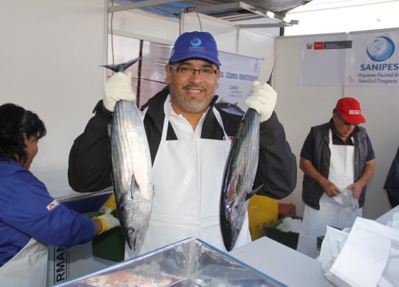 PBI pesquero creció 14.9% en julio de 2024 y acumuló cuatro meses de crecimiento