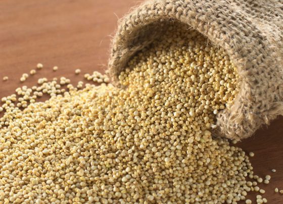 Perú se consolida como el primer productor y exportador mundial de quinua