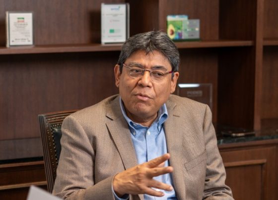 Minería ilegal podría mover este año hasta US$4,000 millones en exportaciones ilícitas