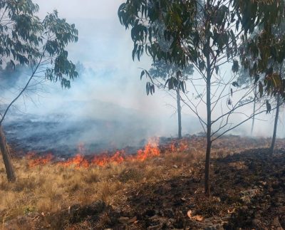 Regiones afectadas por incendios forestales
